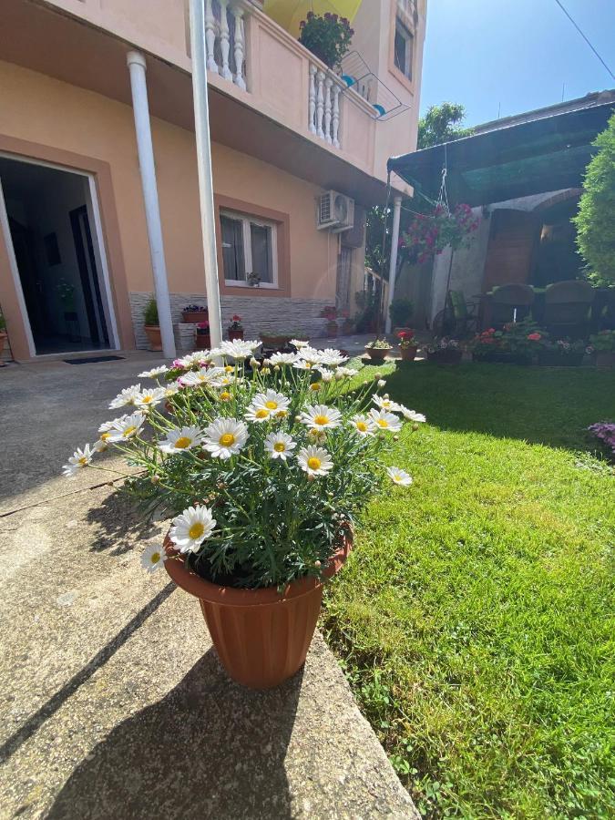 Apartment Dora Zadar Extérieur photo